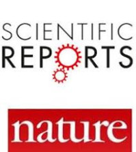 Simone Righi és Takács Károly publikációja a Scientific Reportsban